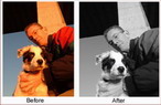 Example of color/tint change