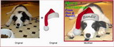 Example of merging 2 photos into 1