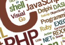 Custom Programming Services